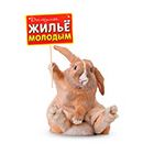 Товары для грызунов