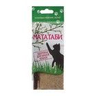 Воспитание кошек