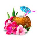 Гавайские костюмы и аксессуары