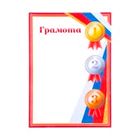 Дипломы, грамоты, благодарности
