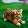 Дикие кошки