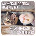Магниты