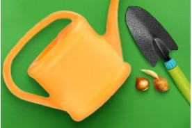 Товары для дачи и сада